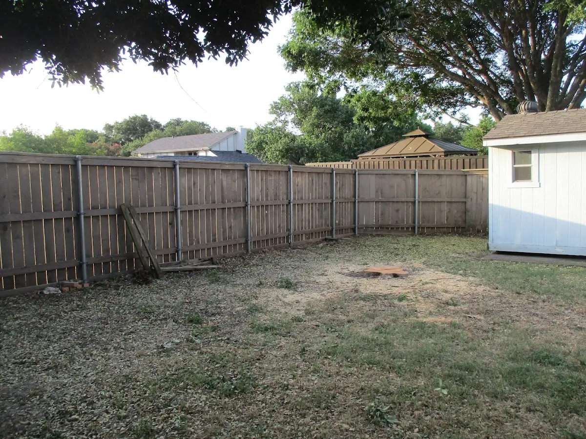 Cleared yard after professional tree removal in Nunda